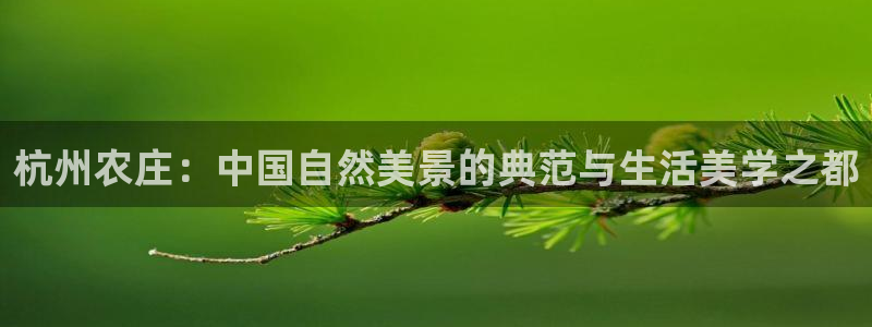 金年会体育娱乐