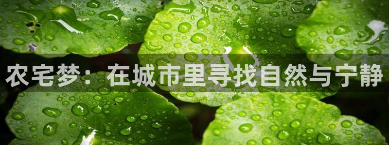 金年会手机网页版登录