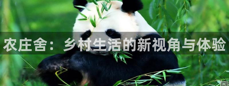 金年会电子游戏