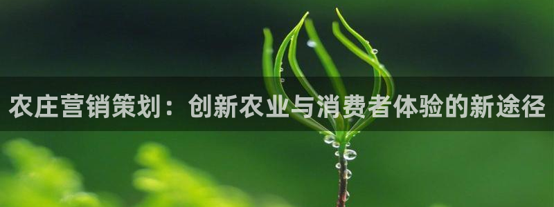 澳门与金年会的关系