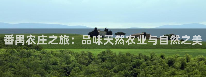 金年会平台是真的吗
