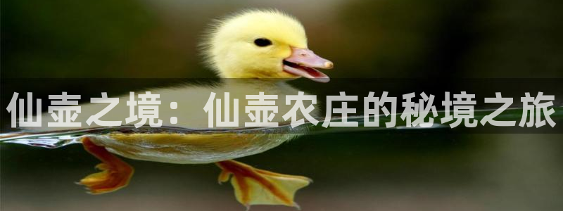 金年会平台出款