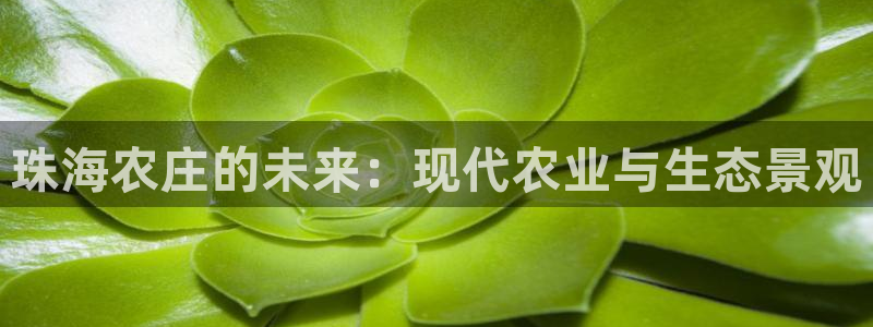 金年会网官网新版