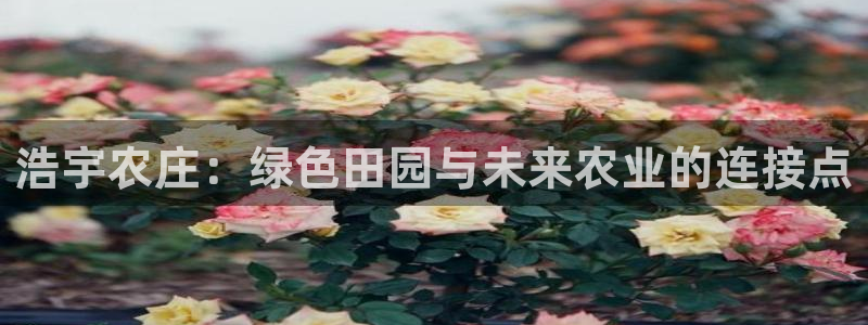 金年会金字招牌至上