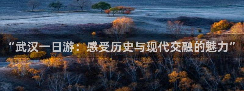 2022年金科年会