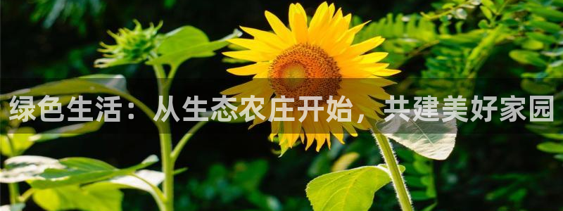 金年会官网