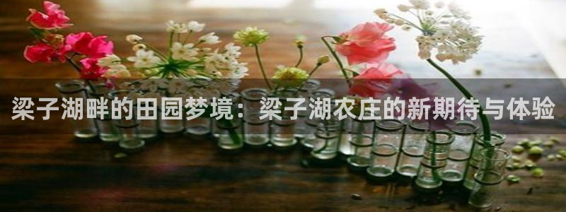 金年会登录入口