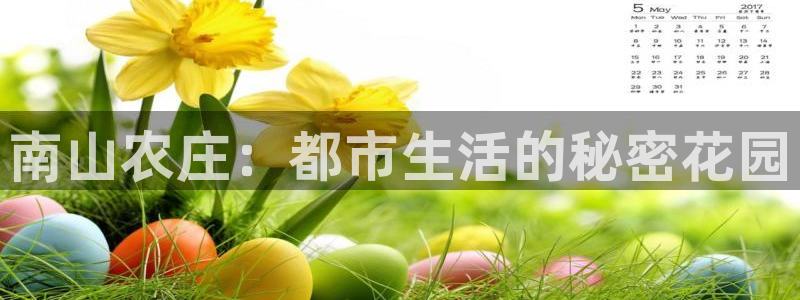 金年会APP安装下载