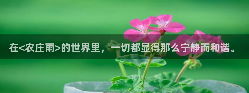 金年会是赌博的吗