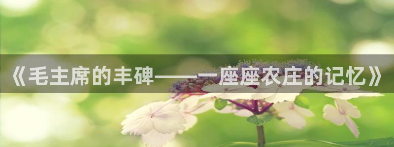 金年会下载官方