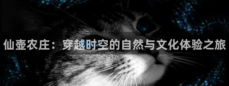 金年会app下载官网