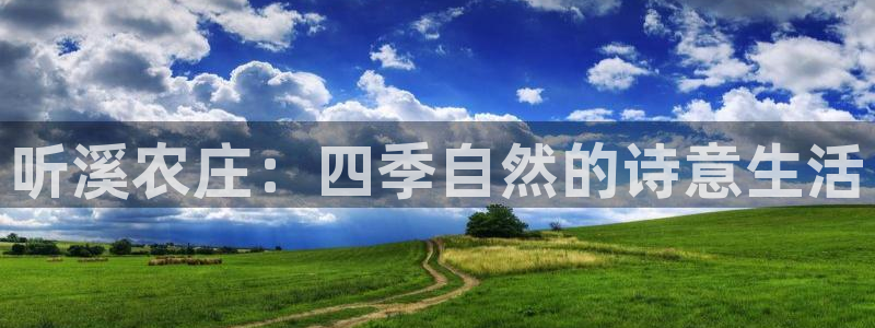 金年会平台包赔