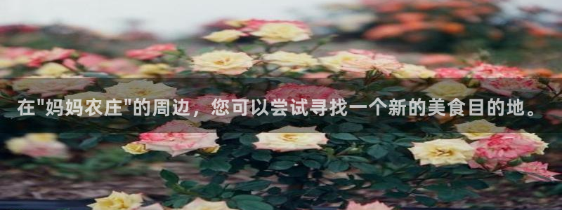 金年会体育平台入口