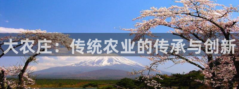 金年会今年会