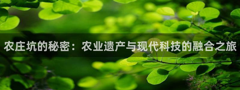 为什么搜索不了金年会