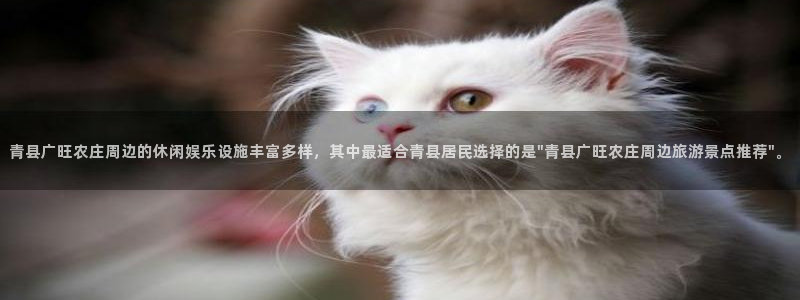 金年会体育金年会官网