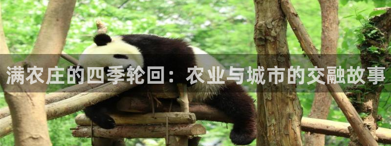 金年会手机官网