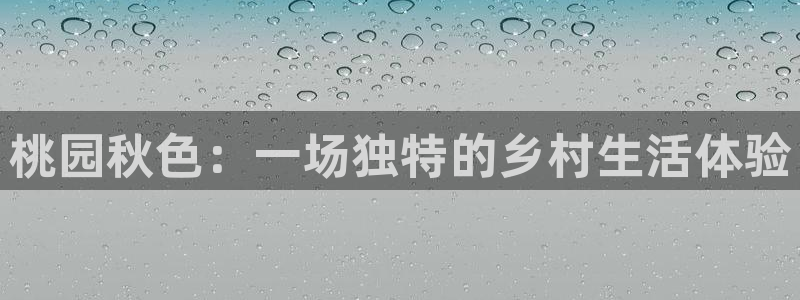 金年会会