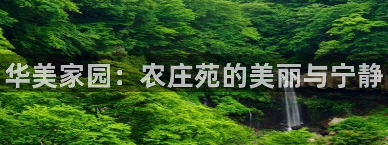 金金年会